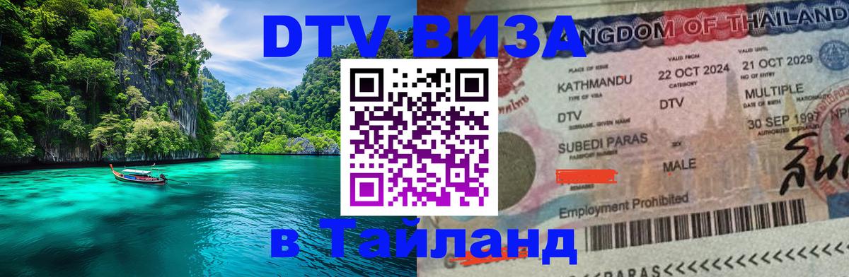 Оформление DTV визы под ключ: стоимость и тарифы, только загранпаспорт - 